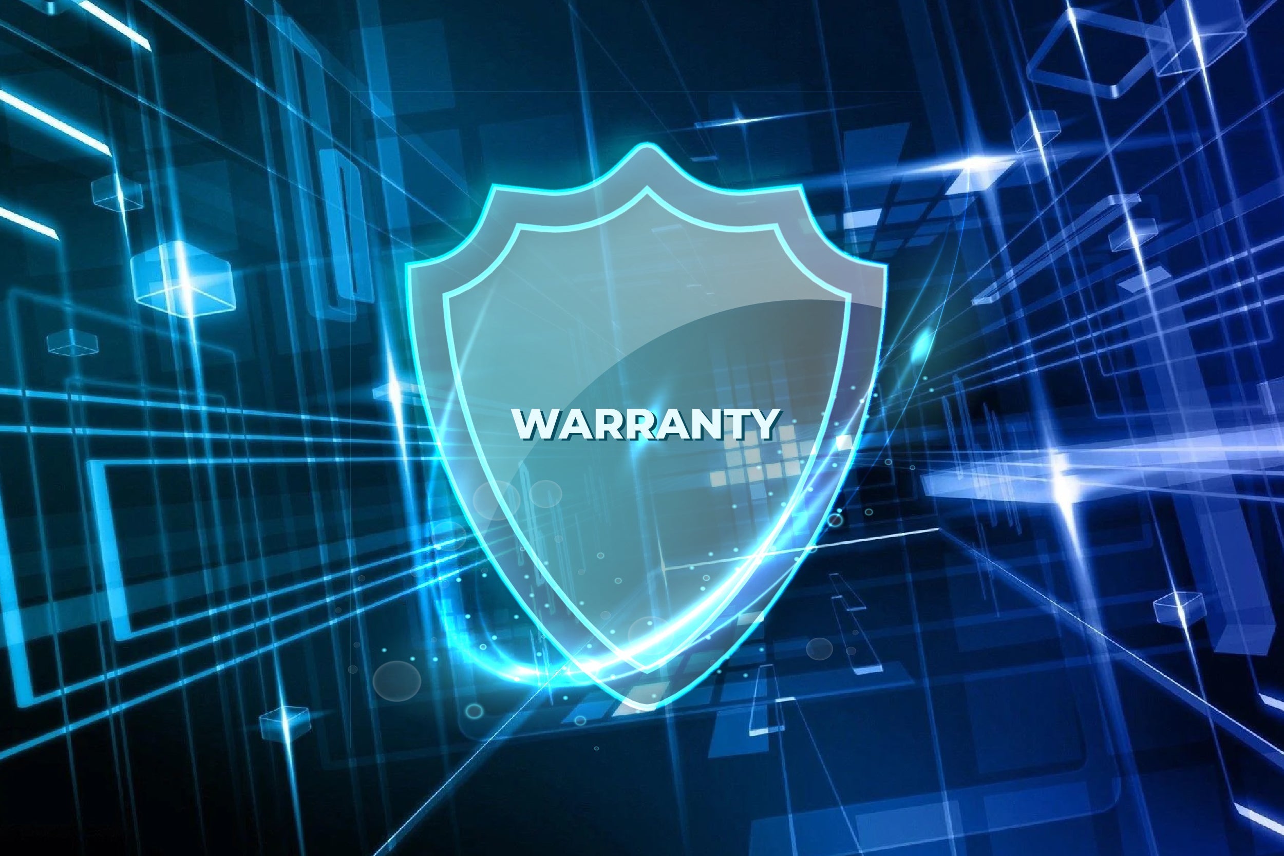 WARRANTY TERMS